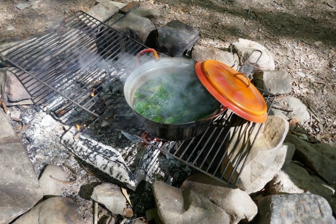 Ardenne Famenne Environnement Nature ASBL (CRIE de Saint-Hubert)