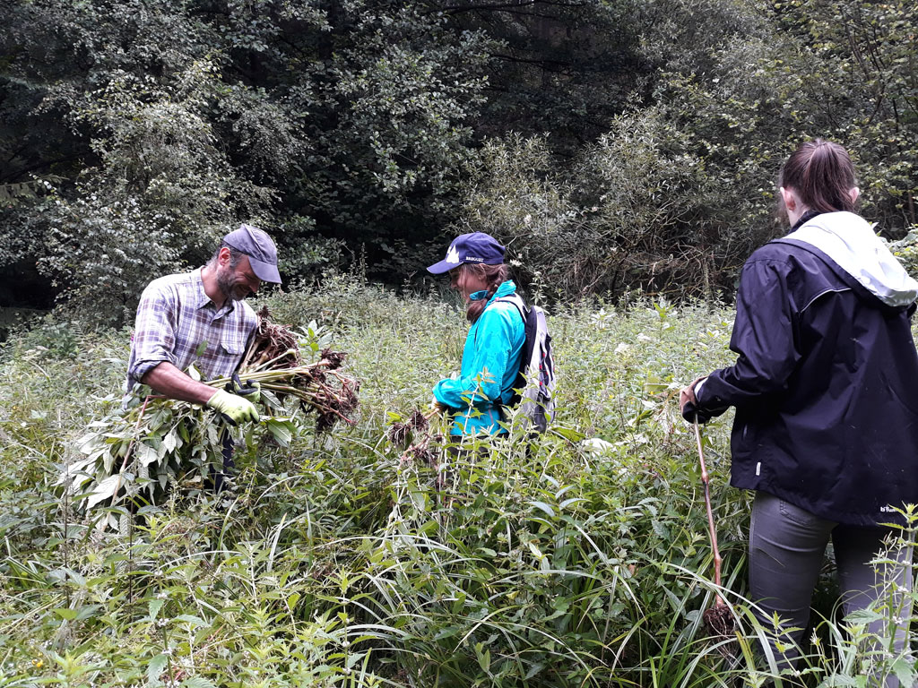 Contrat de Rivière du sous-bassin hydrographique de la Vesdre