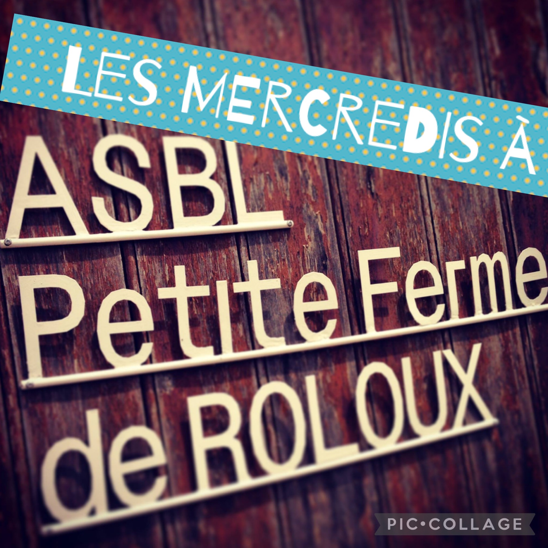 ASBL Petite ferme de Roloux