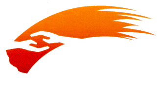 Télé Service de Flémalle Asbl