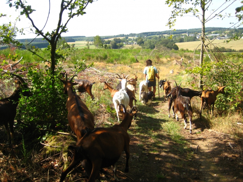 WWOOF Belgium