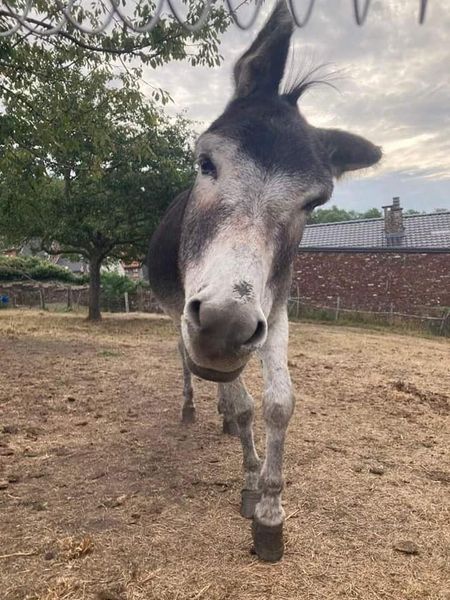 ASBL La Ferme des enfants - Centre nature de Liège