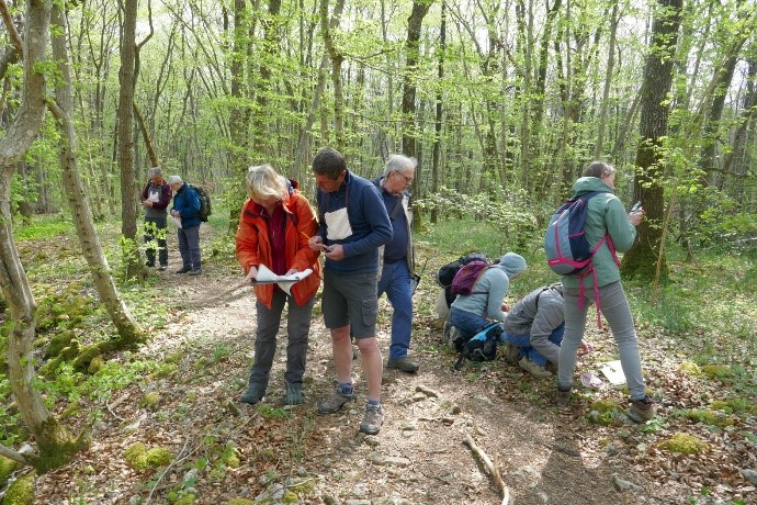 Ardenne Famenne Environnement Nature ASBL (CRIE de Saint-Hubert)