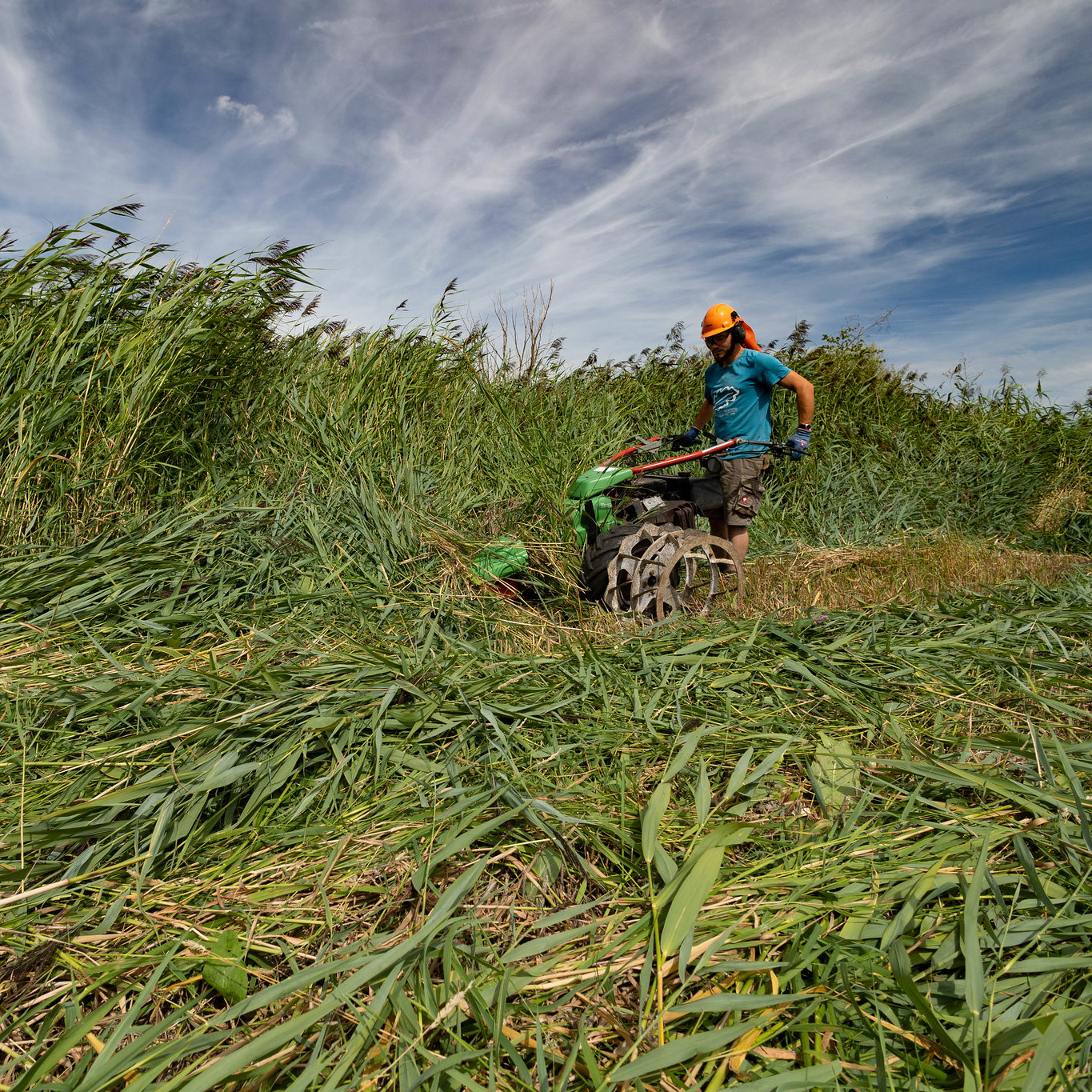 Ardenne & Gaume asbl