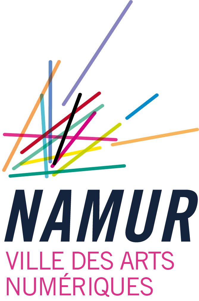 NAMUR EUROPE WALLONIE asbl