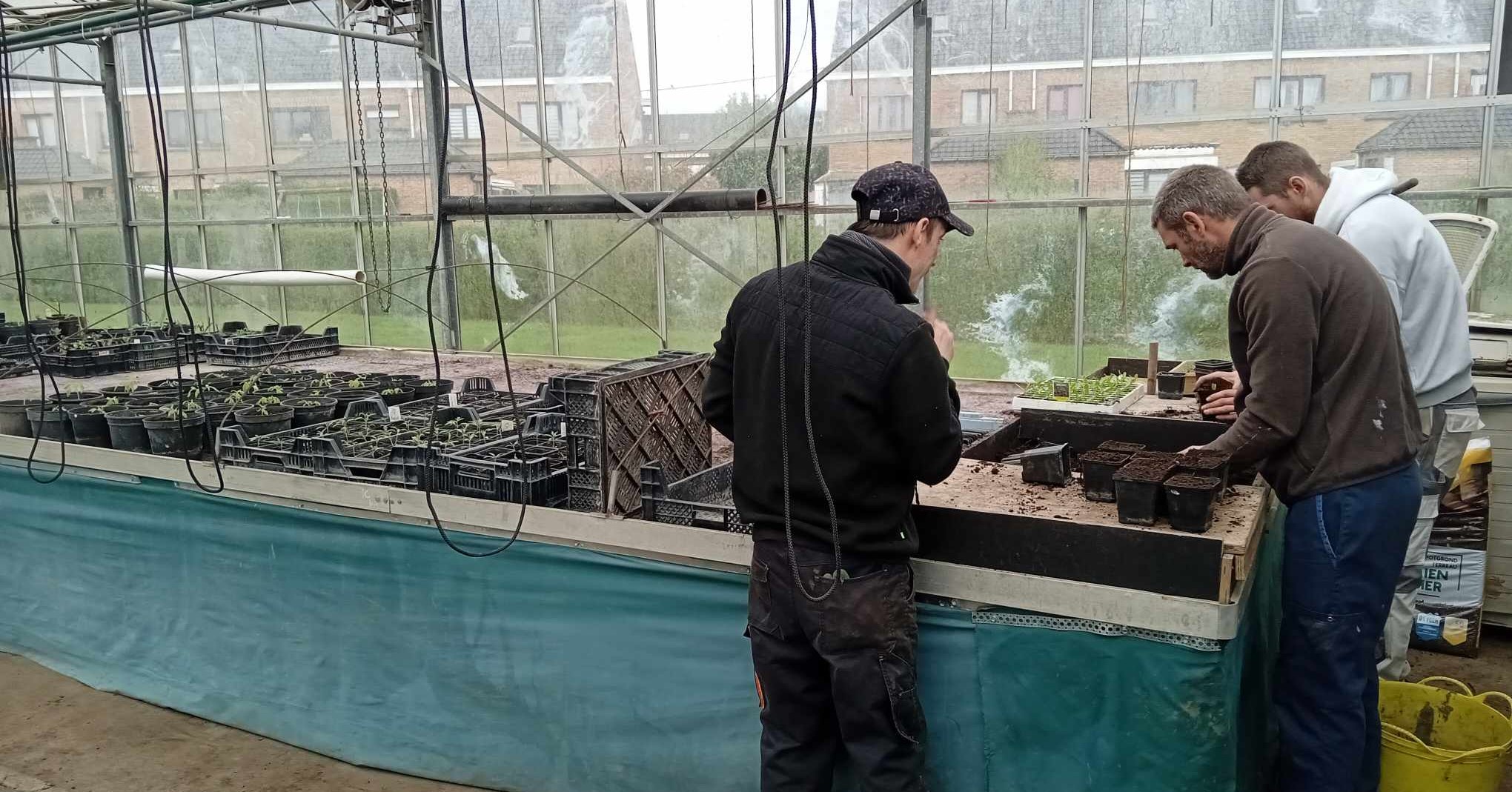 Asbl Régie des Quartiers de Comines-Warneton