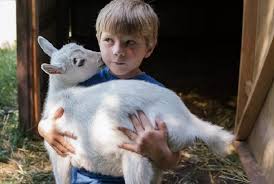 ASBL La Ferme des enfants - Centre nature de Liège
