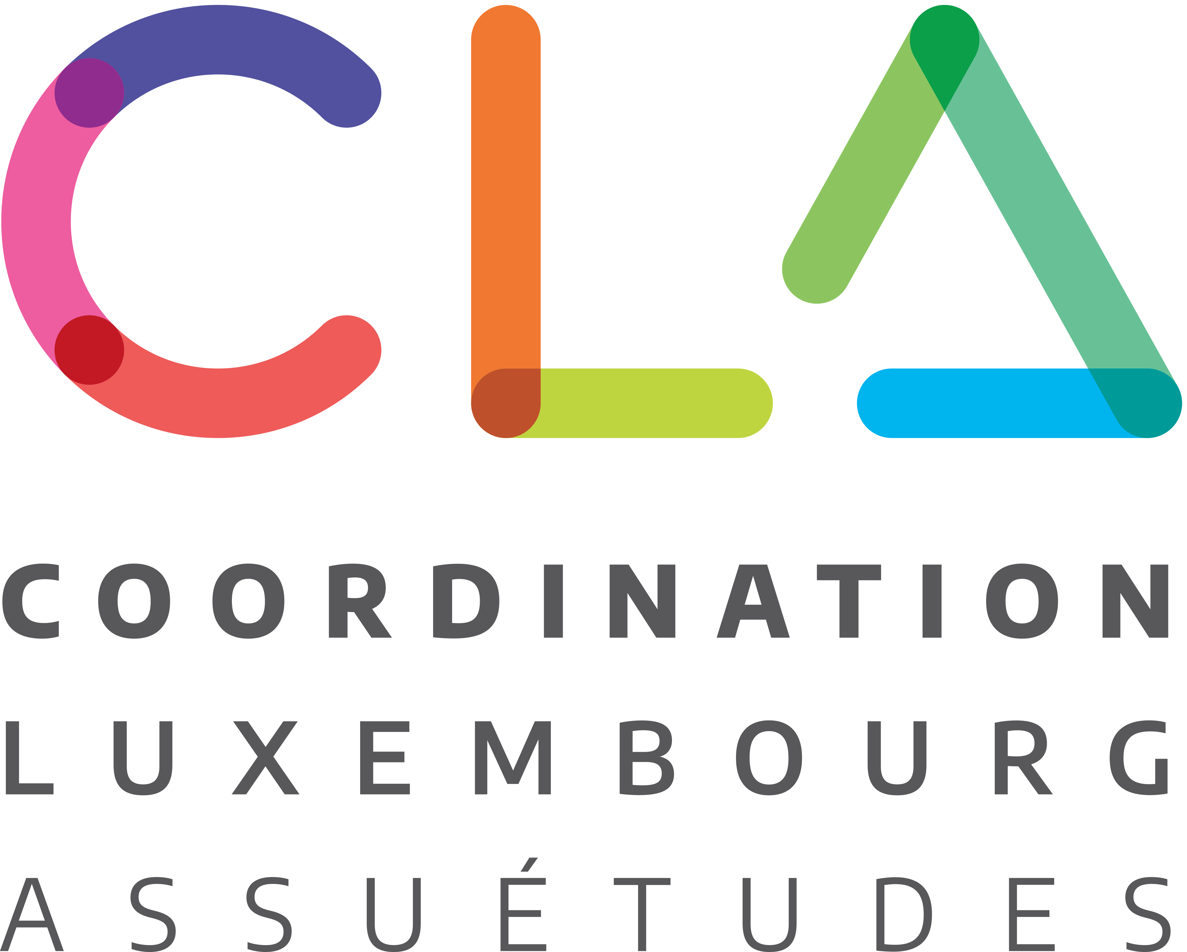 Coordination Luxembourg Assuétudes