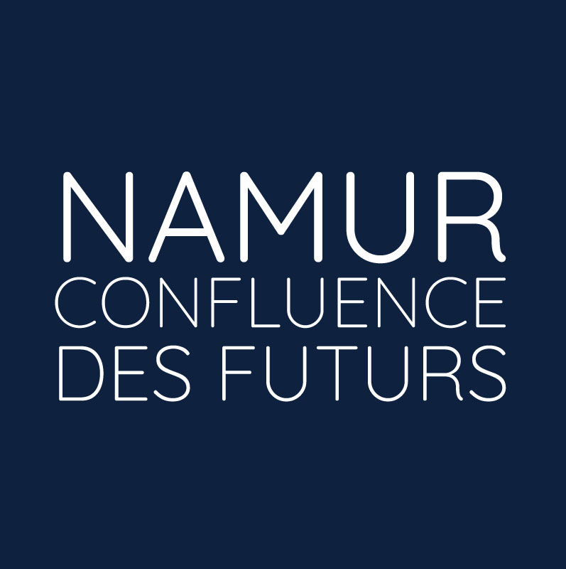 NAMUR EUROPE WALLONIE asbl