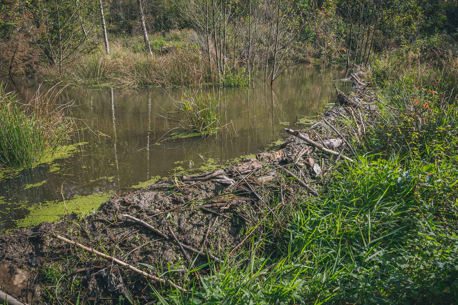 Fédération des Parcs naturels de Wallonie ASBL
