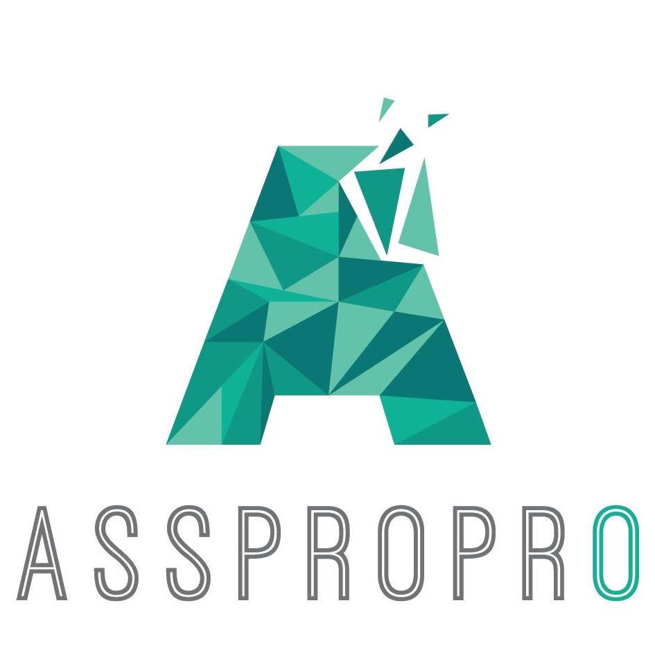 Association des Programmateurs Professionnels