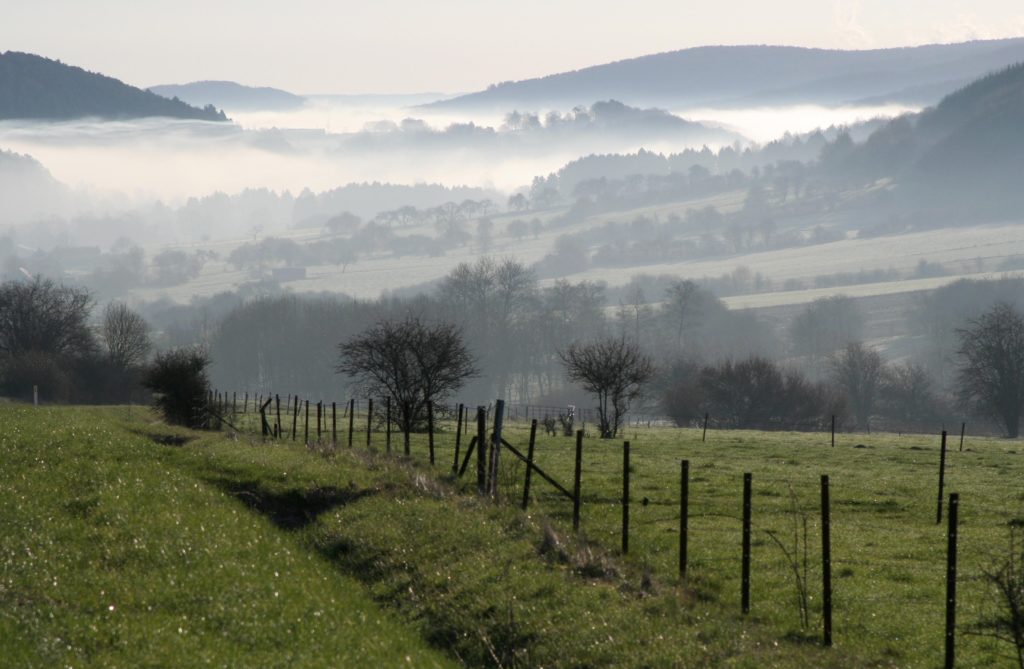 Bureau de projet du Parc national ESEM