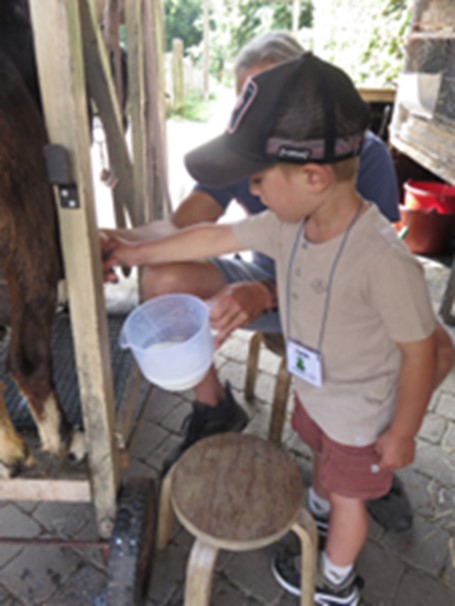 Ferme du Monceau - Boîte à Couleurs asbl
