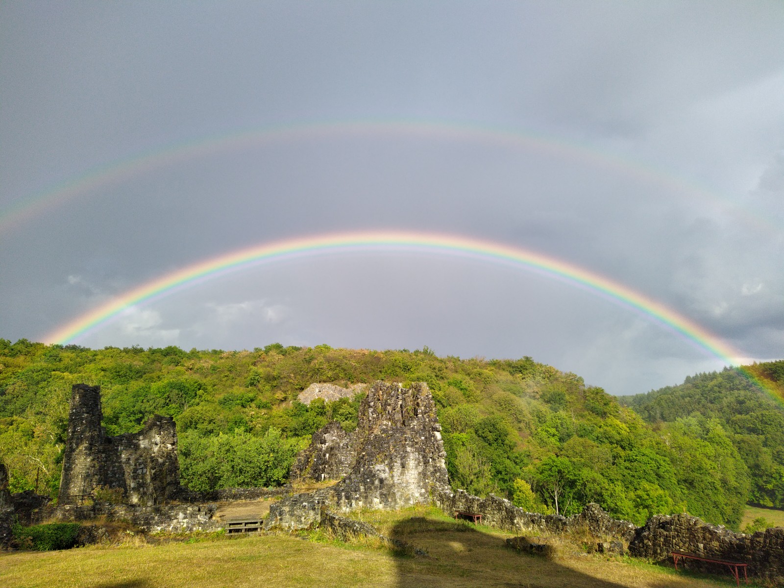 Les Amis de Montaigle asbl