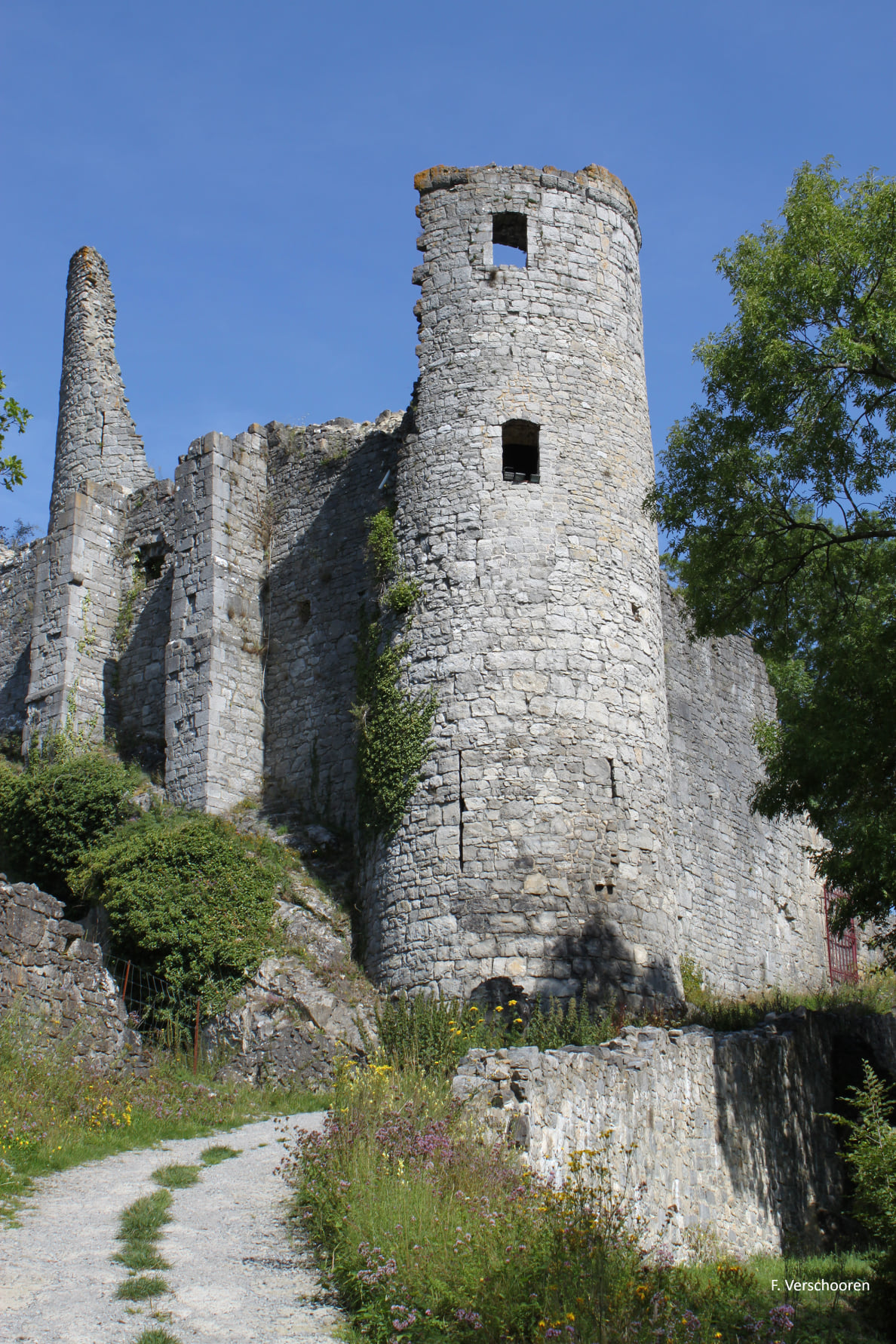 Les Amis de Montaigle asbl