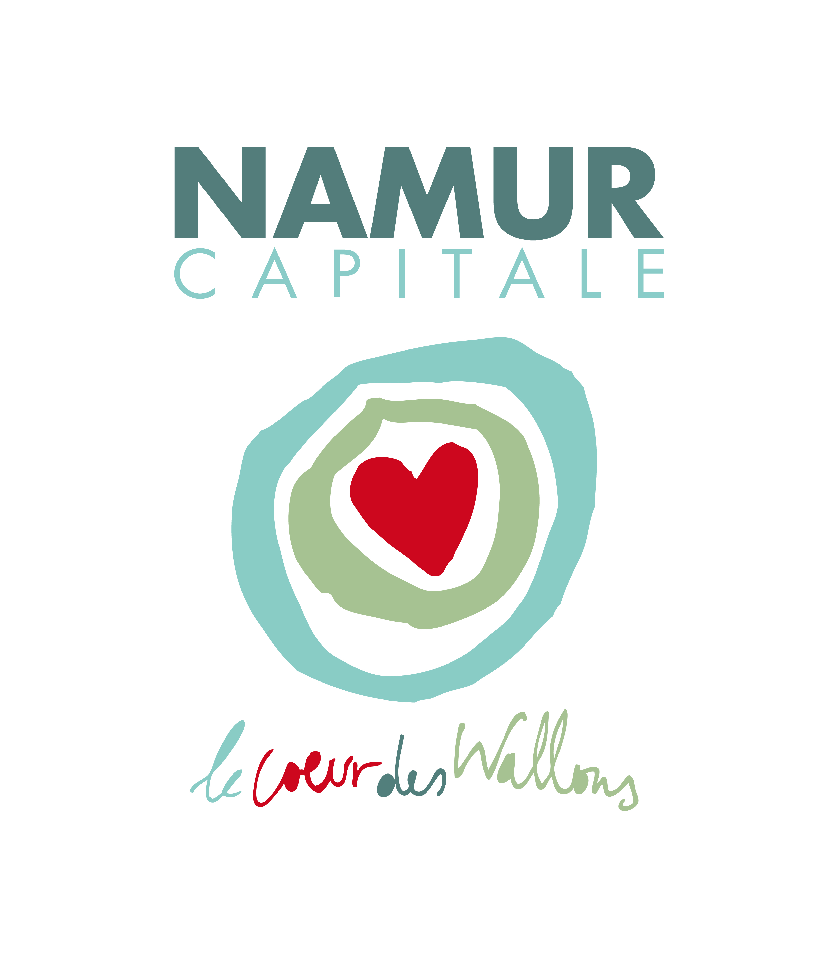 NAMUR EUROPE WALLONIE asbl