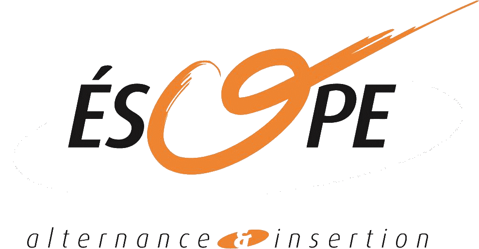 Etudes et Services Opérationnels pour la Promotion de l'Emploi
