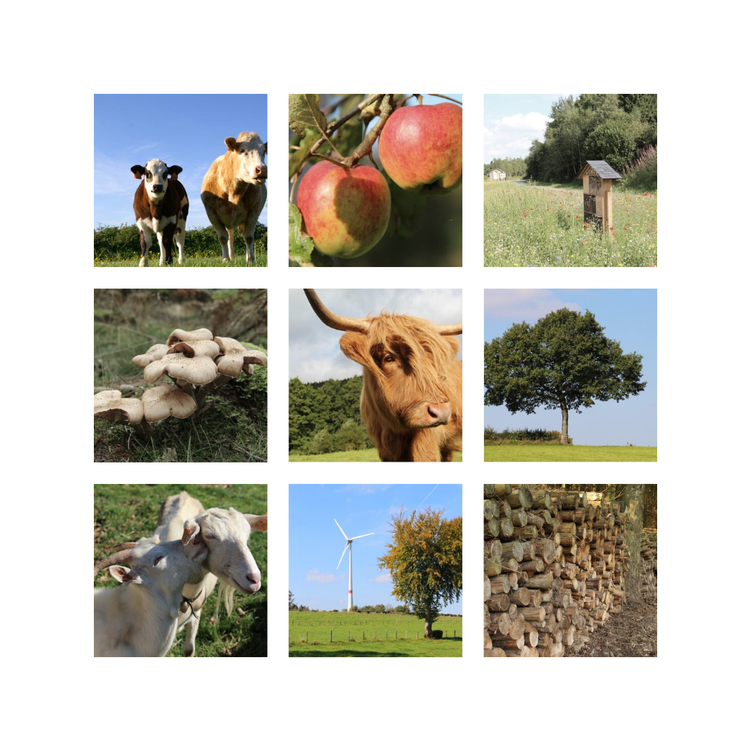 Réseau Aliment-Terre de l'arrondissement de Verviers ASBL