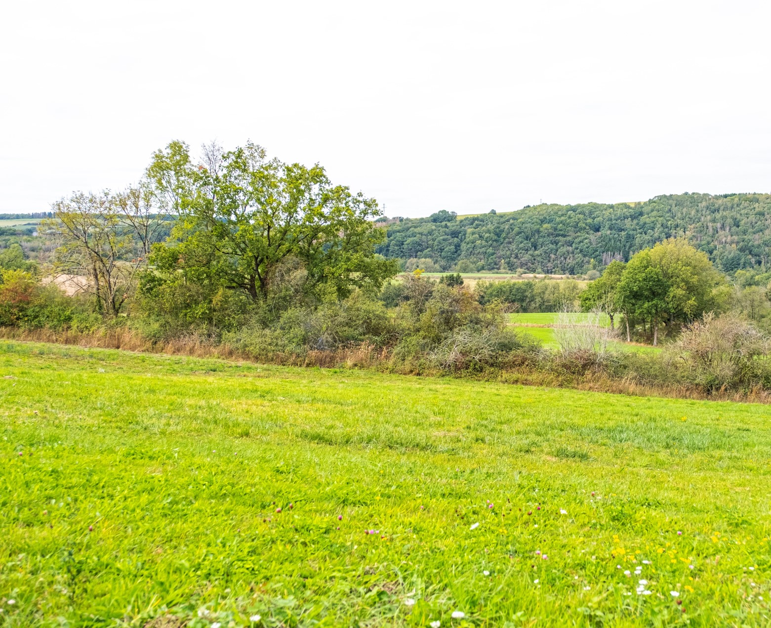 Groupe d'Action locale Pays de l'Ourthe