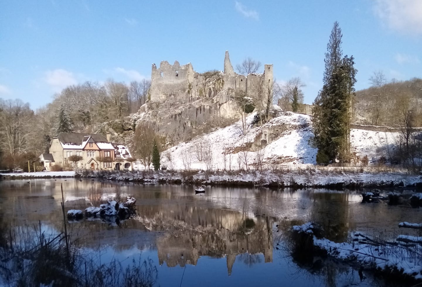 Les Amis de Montaigle asbl