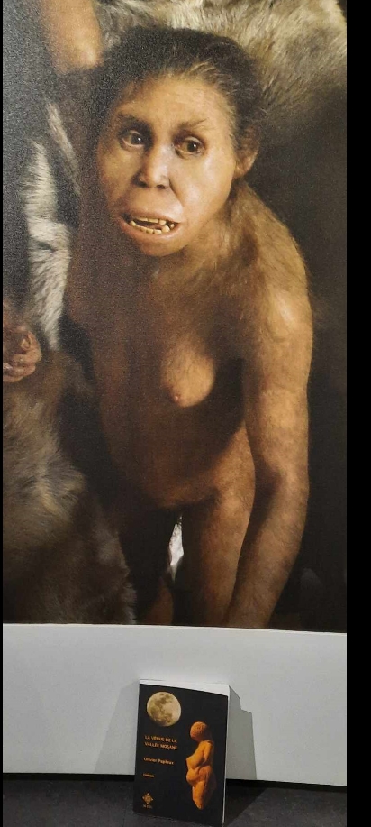 Espace Muséal d'Andenne