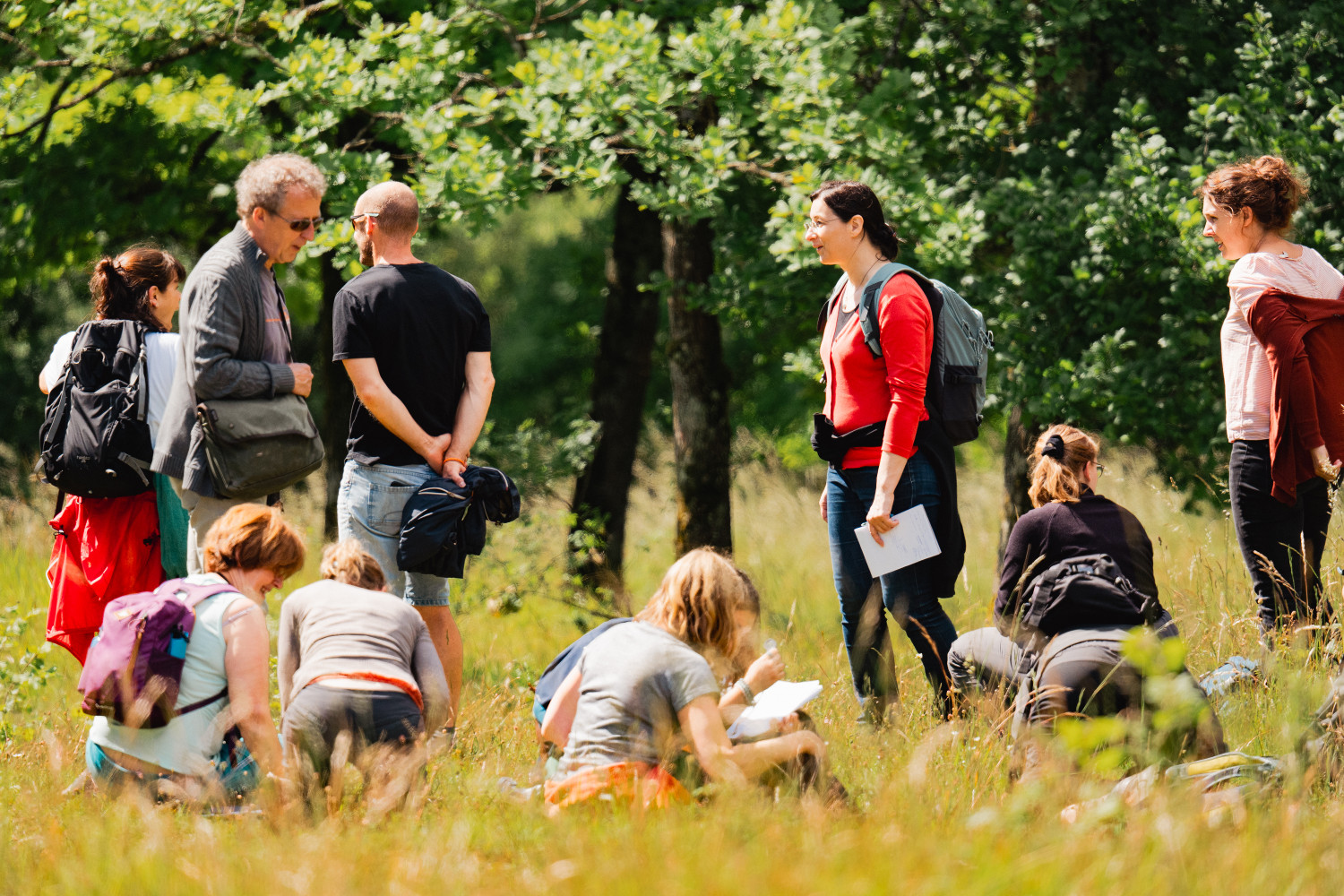 Education-environnement