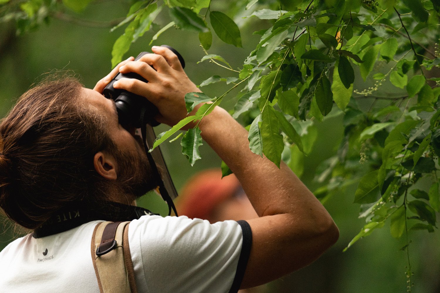 Education-environnement