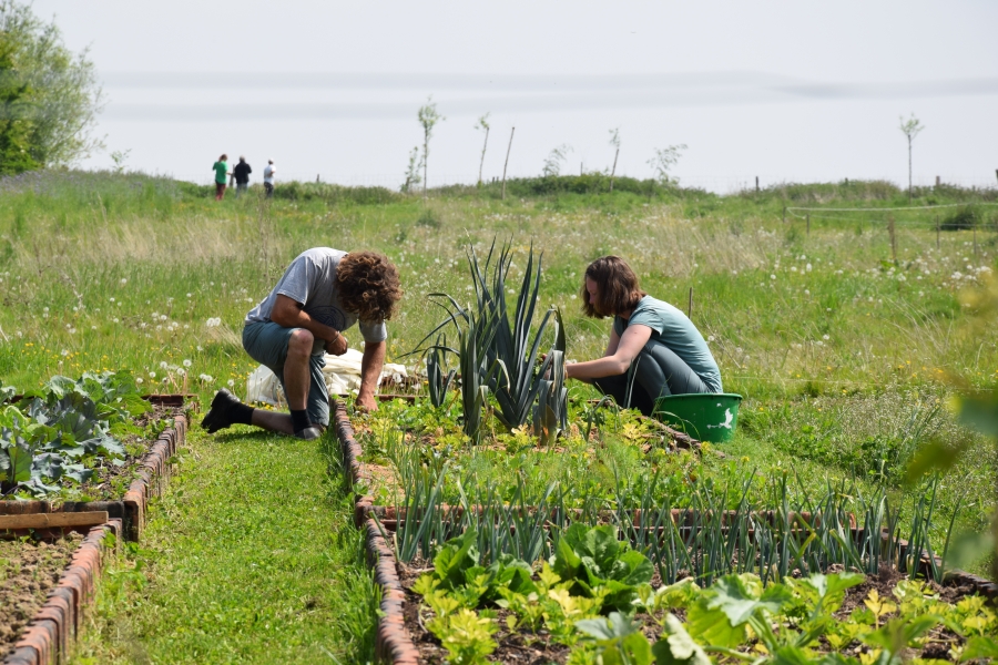 WWOOF Belgium