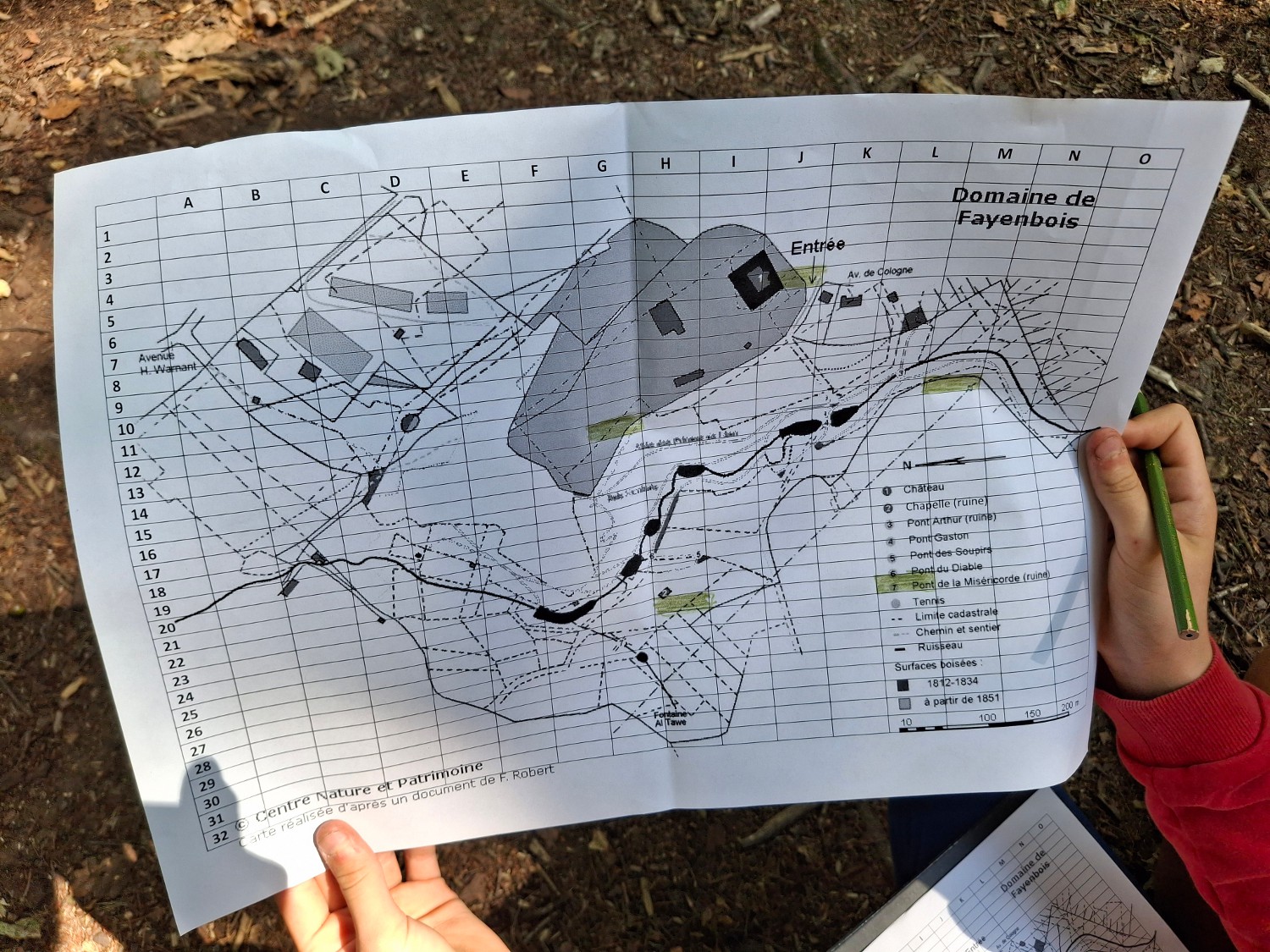 Education-environnement