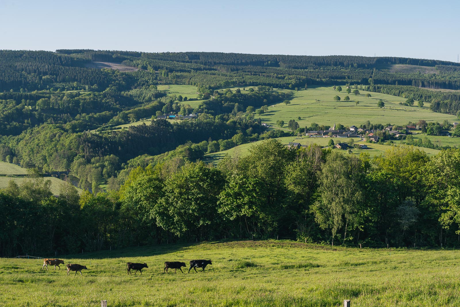 Fédération des Parcs naturels de Wallonie ASBL