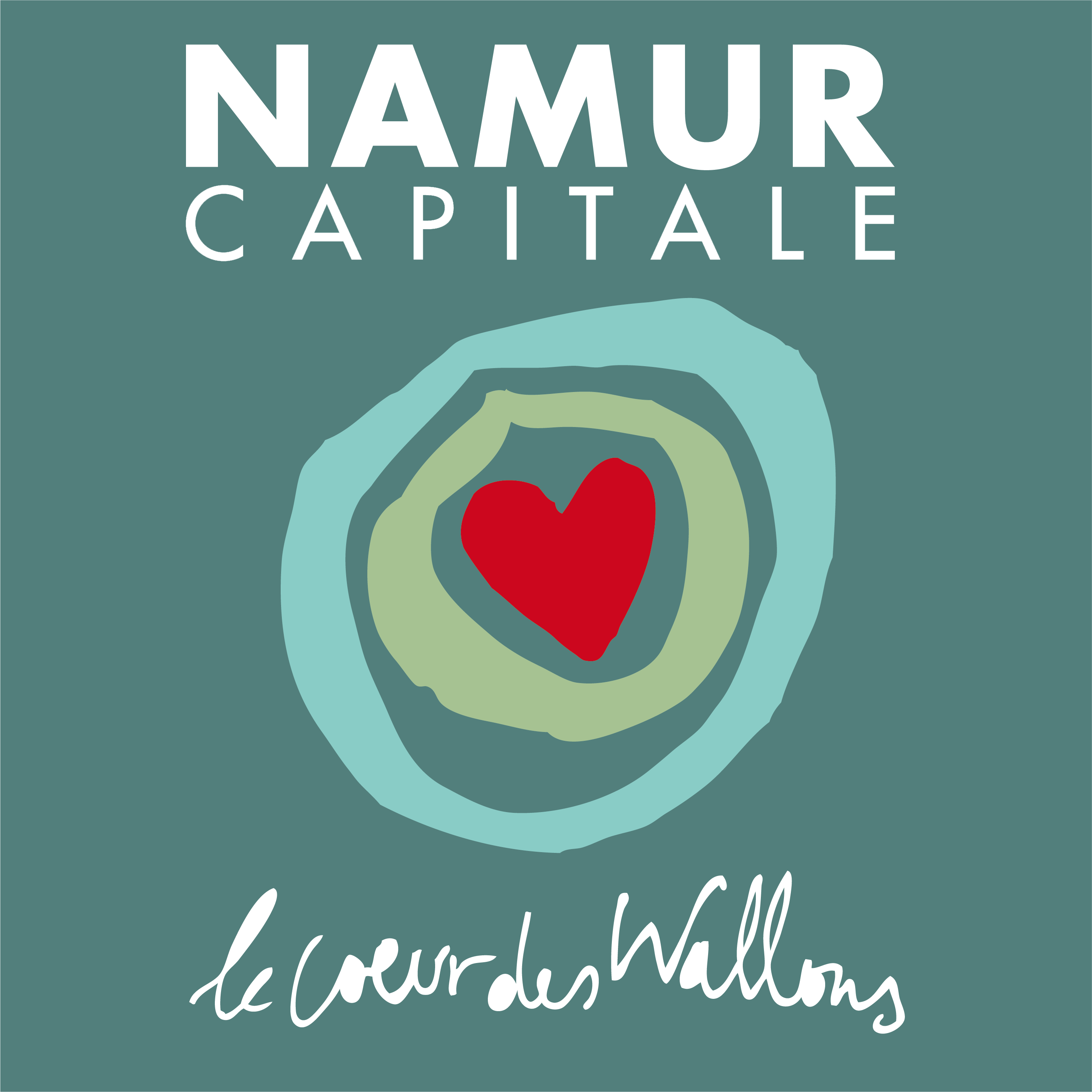 NAMUR EUROPE WALLONIE asbl