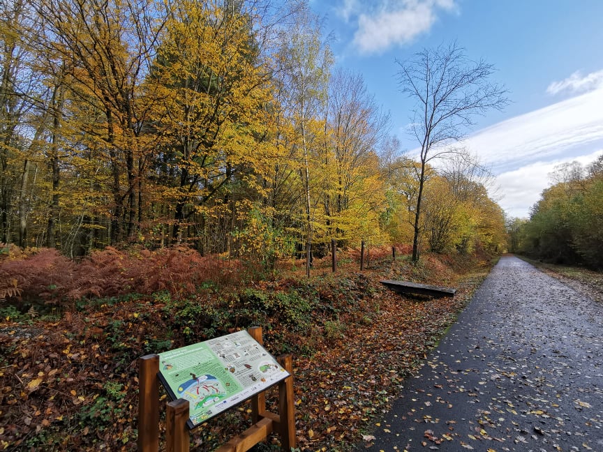 Association pour la Promotion du Tourisme, la Conservation de la Nature et la Sauvegarde du Cadre de Vie en Thiérache