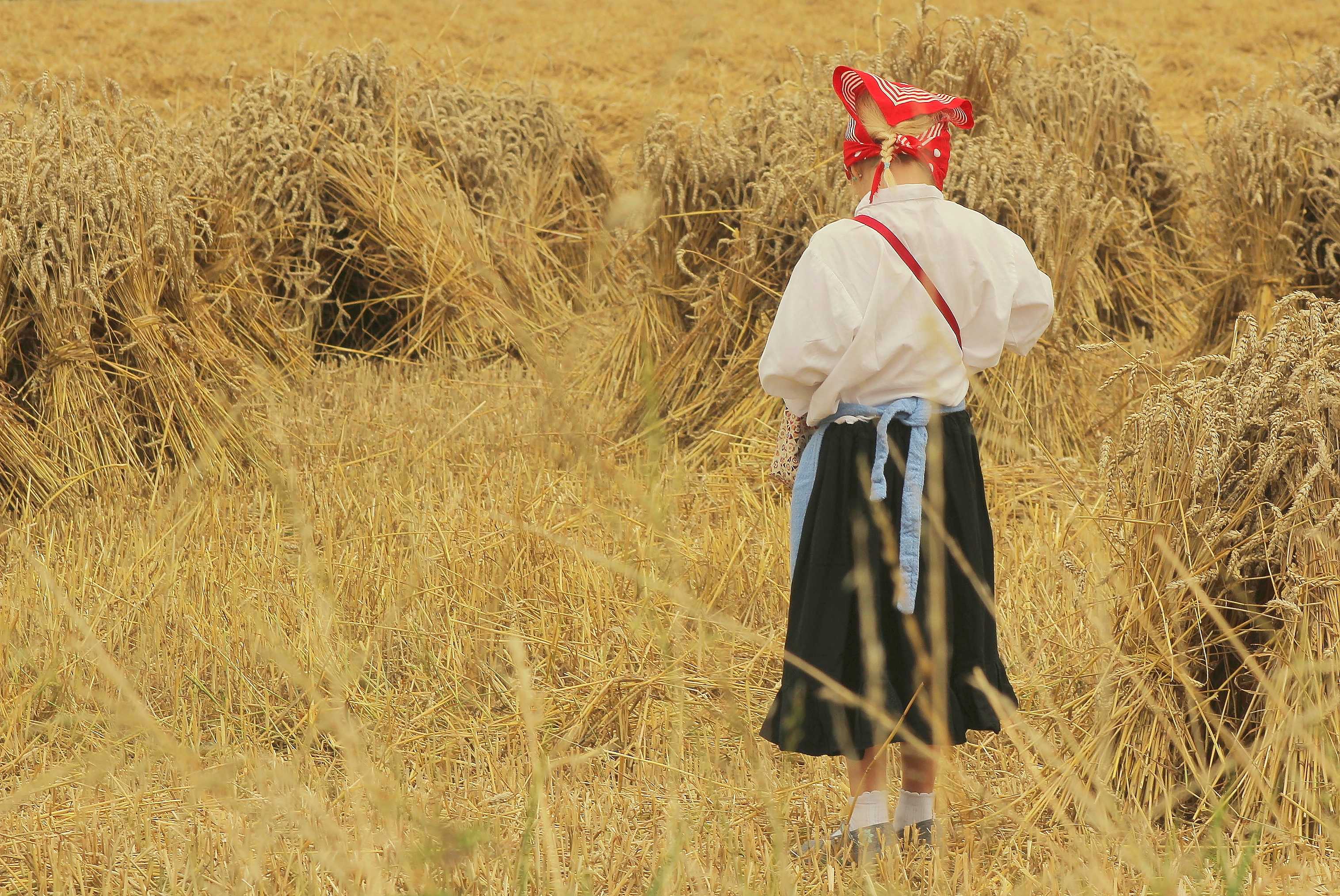 Ecomusée du Pays des Collines