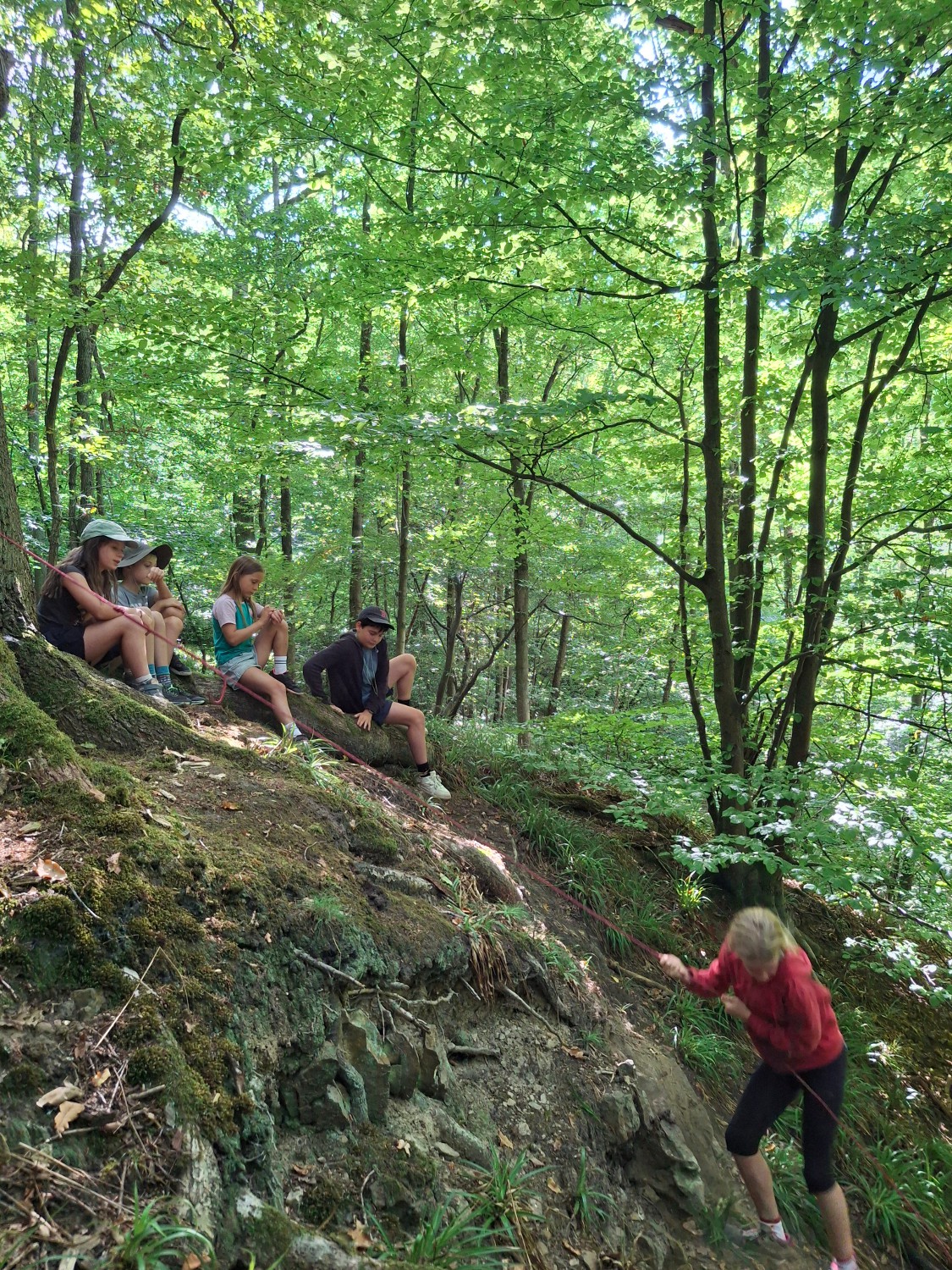 Education-environnement