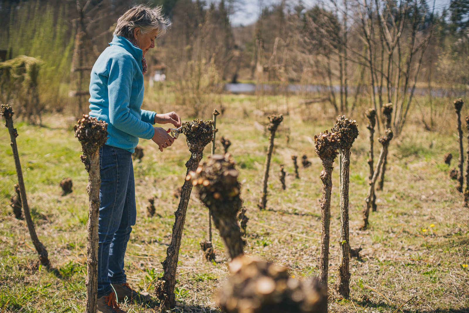 Fédération des Parcs naturels de Wallonie ASBL