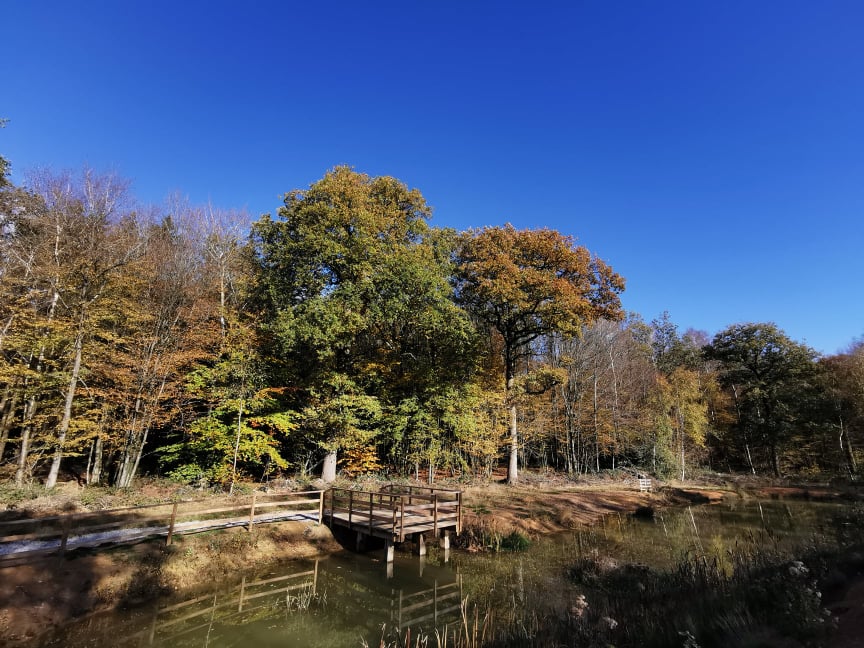 Association pour la Promotion du Tourisme, la Conservation de la Nature et la Sauvegarde du Cadre de Vie en Thiérache